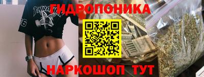 гашик Новокубанск